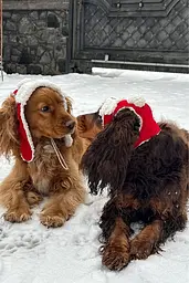 Шапка-вушанка для собак Hat-Dog Новорічна (M) - мініатюра 7