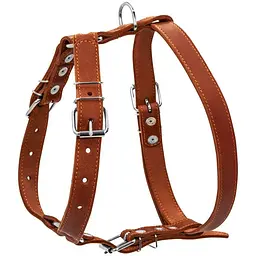 Шлея для собак Collar одинарна, шкіра, 49-68х68-80х2,5 см, коричневий (6386) - мініатюра 2