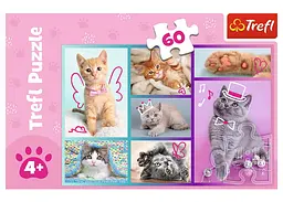 Пазл Trefl Милі котики 60 ел. (17373) - мініатюра 2