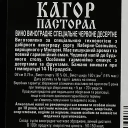 Вино Alianta vin Kagor Pastoral, червоне, солодке, 16%, 0,75 л (178716) - мініатюра 3