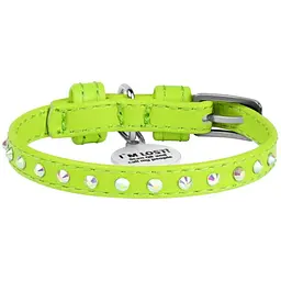 Нашийник для собак Waudog Glamour, шкіряний, зі стразами, з QR паспортом, XXS, 18-21х0,9 см, салатовий