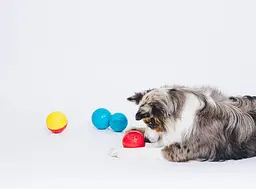 Інтерактивна іграшка-м'яч для собак Pet Qwerks Talking Babble Ball - мініатюра 5