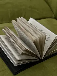 Розпусні загублені хлопці. Книга 4. Принци фейрі - Ніккі Сент-Кроу - мініатюра 14