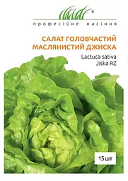 Насіння салату головчастого маслянистого Джиску 30 шт Професійне насіння