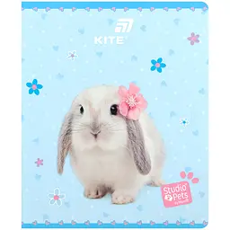 Зошит  Kite Studio Pets в клітинку 24 аркуші блакитний