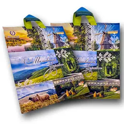 Пакет із петльовою ручкою 40*42 "Живописна Україна Ренпако (25 шт.) - мініатюра 2