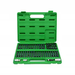 Професійний набір біт TORX, HEX, SPLINE, RIBE, SQ 60 од. TOPTUL GCAI6003
