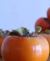 Саджанець Agro-Market Хурма на віргінській морозостійкій підщепі Корольок вищий сорт! (44807) 1 шт. в упаковці - мініатюра 9