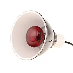 Інфрачервона нагрівальна лампа Repti-Zoo Infrared Heat 50W (R63050) - мініатюра 5