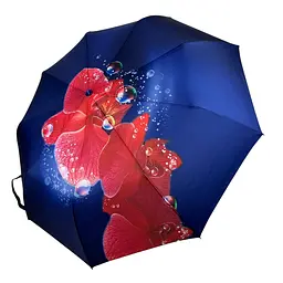 Жіноча парасолька-автомат The Best 102 см acs0024696 - мініатюра 1
