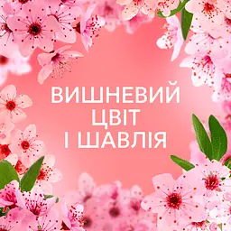 Кондиціонер для білизни Lenor Вишневий цвіт та шавлія 32 цикли прання 675 мл - мініатюра 6