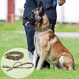 Нашийник для собак з повідцем Harness, нейлоновий з металевою пряжкою-фастекс Коричневий, L - мініатюра 2