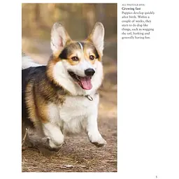 Dogs - Джексон Том - мініатюра 3