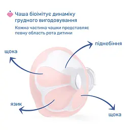 Молоковідсмоктувач електричний Chicco Stimolatte (09199.60) - мініатюра 6