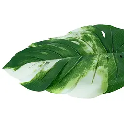 Штучне листя Engard Monstera Alba 78 см (TW-55) - мініатюра 3