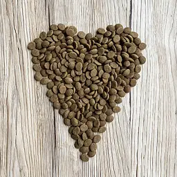 Сухий беззерновий корм для дорослих кішок від 1 року з лососем Grain Free Salmon Adult Cat 400g - мініатюра 2