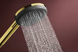 Ручний душ Hansgrohe Raindance Alive Select S EcoSmart polished gold optic 24511990 - мініатюра 4