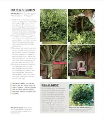 Grow Shade Garden. Essential Know-how and Expert Advice for Gardening Success - мініатюра 7