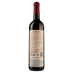 Вино Ravasqueira 1 Centavo Tinto, червоне, сухе, 0,75 л - мініатюра 2