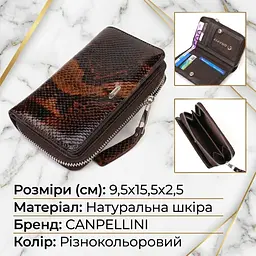 Відмінне лаковане жіноче портмоне середнього розміру з натуральної шкіри з тисненням під змію Canpellini 21714 різнокольорове - мініатюра 3