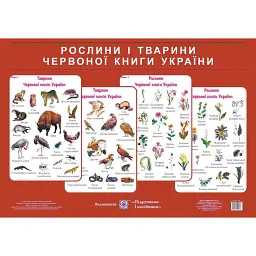 Рослини і тварини червоної книги України. Комплект плакатів + методичні рекомендації - Людмила Грибчук
