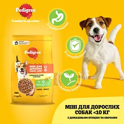 Сухий корм для малих собак Pedigree з птицею та овочами 500 г - мініатюра 3