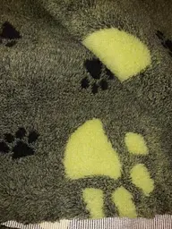 Килимок Jackson Textiles Big Paws green 80х100 см (JT-015) - мініатюра 4