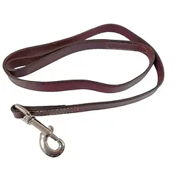 Coastal Circle-T Dog Leash шкіряний повідок для собак 2см х 1.2м