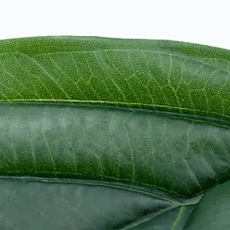 Штучне листя Engard  Monstera 56см (TW-48) - мініатюра 5