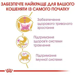 Сухий корм для кошенят до 15 місяців породи мейн-кун Royal Canin Maine Coon Kitten з куркою 0.4 кг - мініатюра 5