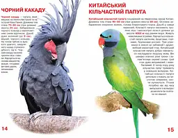 Велика книга Кристал Бук Папуги (F00010905) - мініатюра 3