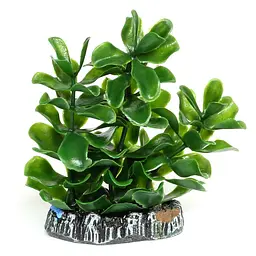 Штучна рослина Hobby Bacopa 7 см (51555)
