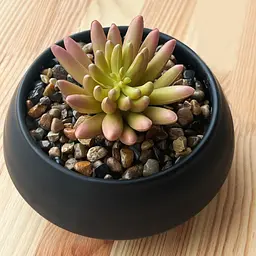 Горщик зі штучною рослиною МВМ My Home, 9 см, чорний (DH-FLOWERS-18 GREEN/BLACK) - мініатюра 3