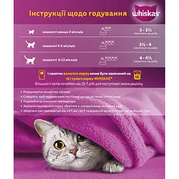 Вологий корм для кішок Whiskas Kitten Курка в желе 85 г (5900951302152) - мініатюра 5