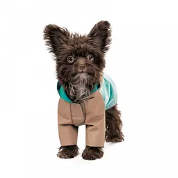 Дощовик Pet Fashion Semmy для собак розмір XS2 - мініатюра 2