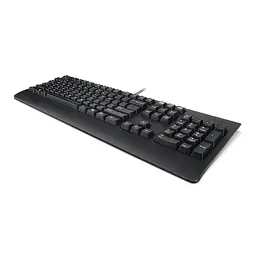 Клавіатура Lenovo Preferred Pro II USB UA Black (4Y41R64624) - мініатюра 4