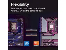 Пам'ять для настільних комп'ютерів Crucial 32 GB (2x16GB) DDR5 6400 MHz Pro Overclocking (CP2K16G64C38U5B) - мініатюра 5