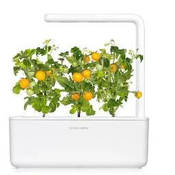 Змінний картридж Click & Grow Smart Garden Жовті томати, 3 капсули (9124) - мініатюра 5