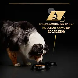 Сухий корм для дорослих собак Purina Pro Plan з надлишковою масою тіла та/або стерилізованих з білою рибою 14 кг - мініатюра 7