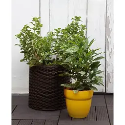 Горщик для квітів Keter L Cylinder Planter коричневий (17197934521_L) - мініатюра 5