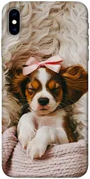 TPU чохол Demsky Sleepy spaniel для Apple iPhone X (5.8")