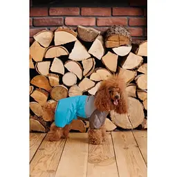 Комбінезон Pet Fashion Сharlie ХS2 для собак - мініатюра 6