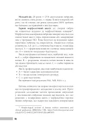 Baby Марафон - мініатюра 12
