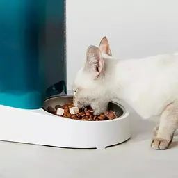 Смарт годівниця PETKIT Fresh Element SOLO (White) P570 - мініатюра 5