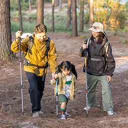Трекінгова палиця телескопічна Naturehike Men ST 01 (NH17D001-Z) синя - мініатюра 8