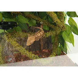 Ліана гнучка з натуральним мохом для тераріуму Repti-Zoo Artificial Moss Vine 1см x 2м (RV0210) - мініатюра 14