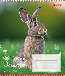 Набір зошитів 1 Вересня Animals of Ukraine А5 в лінійку 18 аркушів 25 шт. (767251) - мініатюра 6