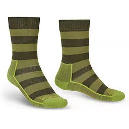 Шкарпетки Bridgedale Hike LW Merino Performance Boot Green L (1053-710281.106.L)