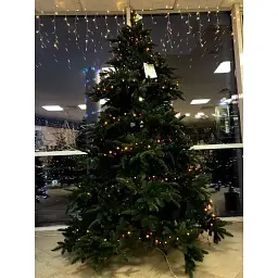Ялинка штучна Triumph Tree Forrester 1.55 м зелена - мініатюра 6