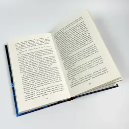 Лабіринти - Франк Тільє | Фабула, книга українською, нова, тверда - мініатюра 4